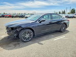 Lexus ES 2022