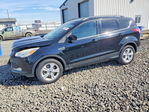 Ford Escape 2016
