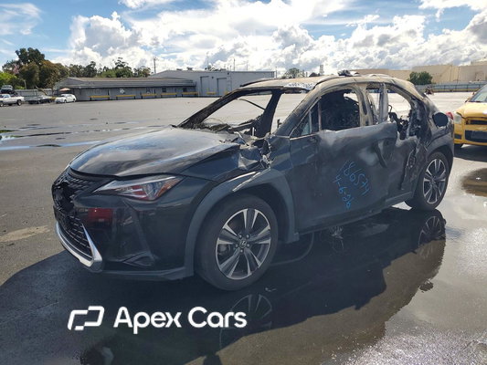 Lexus UX 2021 - Zdjęcie 1 z 11