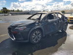 Lexus UX 2021