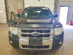 Ford Escape 2011