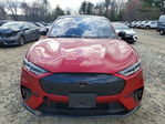 Ford Mustang 2023