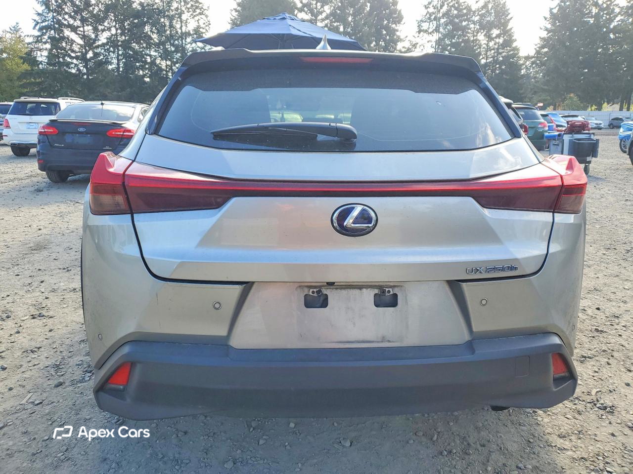 Lexus UX 2020