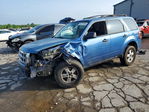 Ford Escape 2009