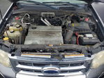 Ford Escape 2008
