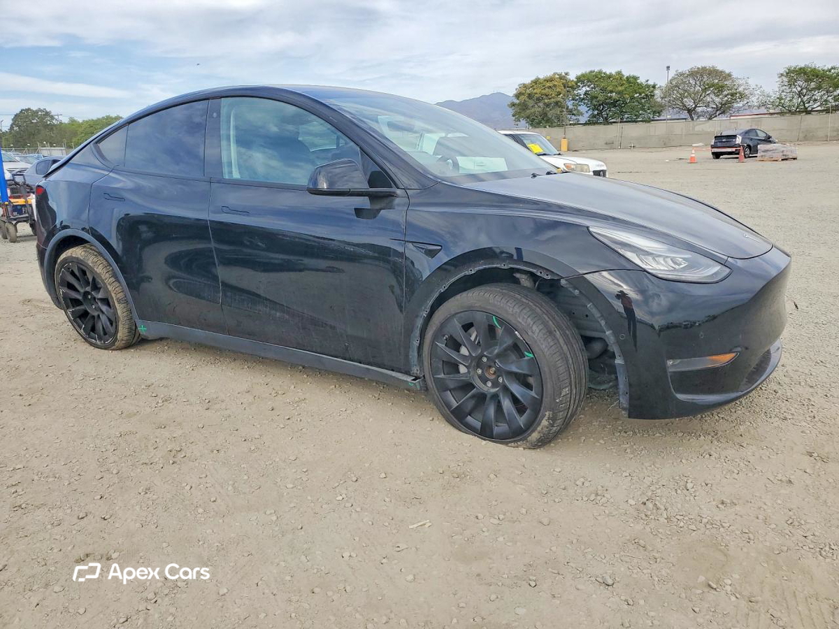 Tesla Model Y 2020