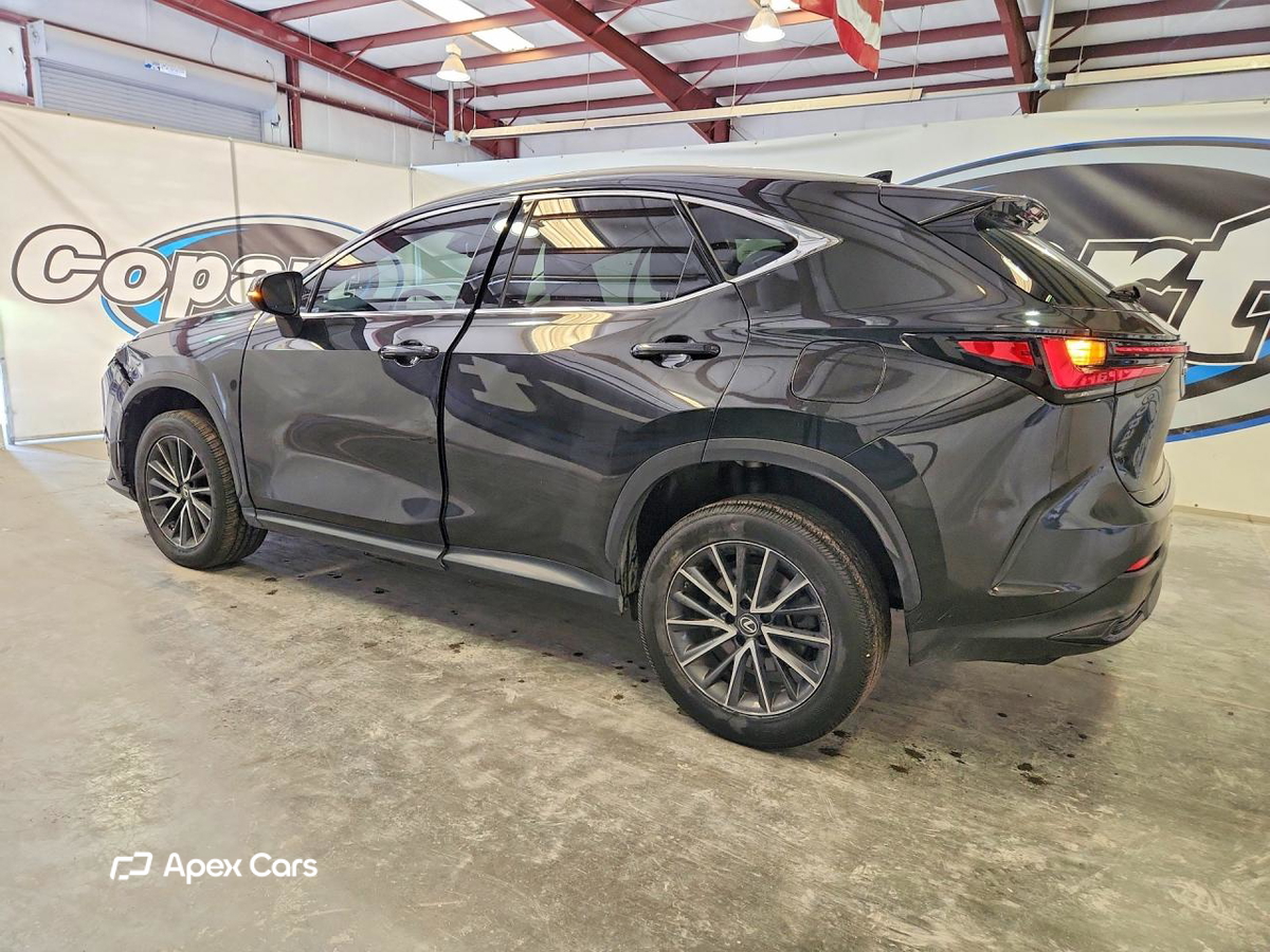 Lexus NX 2022