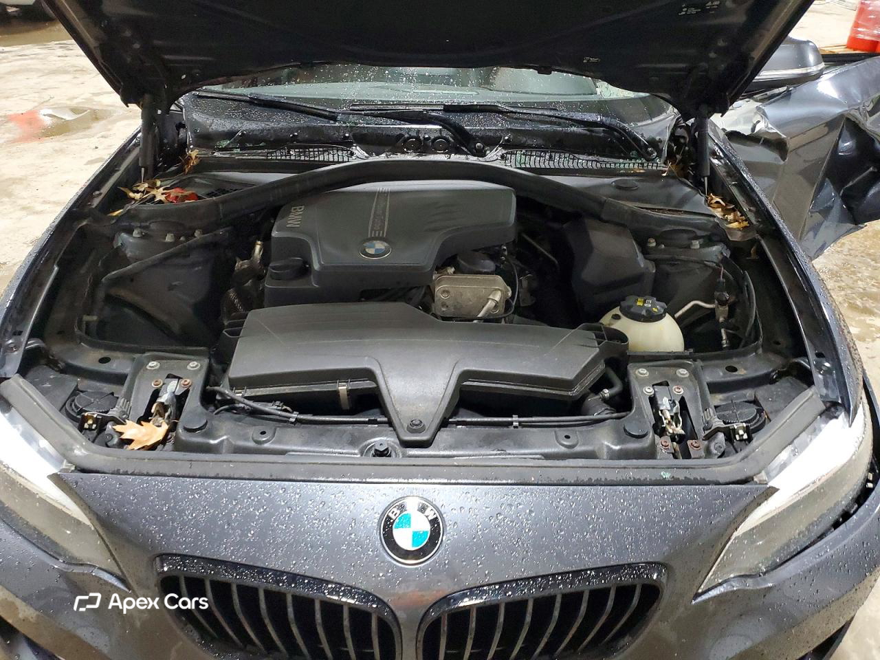 BMW Series 2 2016