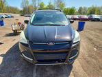 Ford Escape 2013
