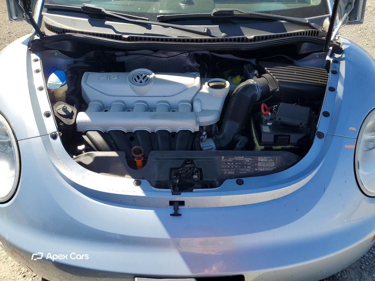 Volkswagen Beetle 2010