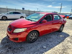 Toyota Corolla 2009
