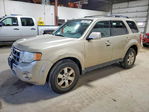 Ford Escape 2011