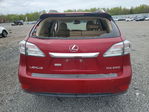 Lexus RX 2010
