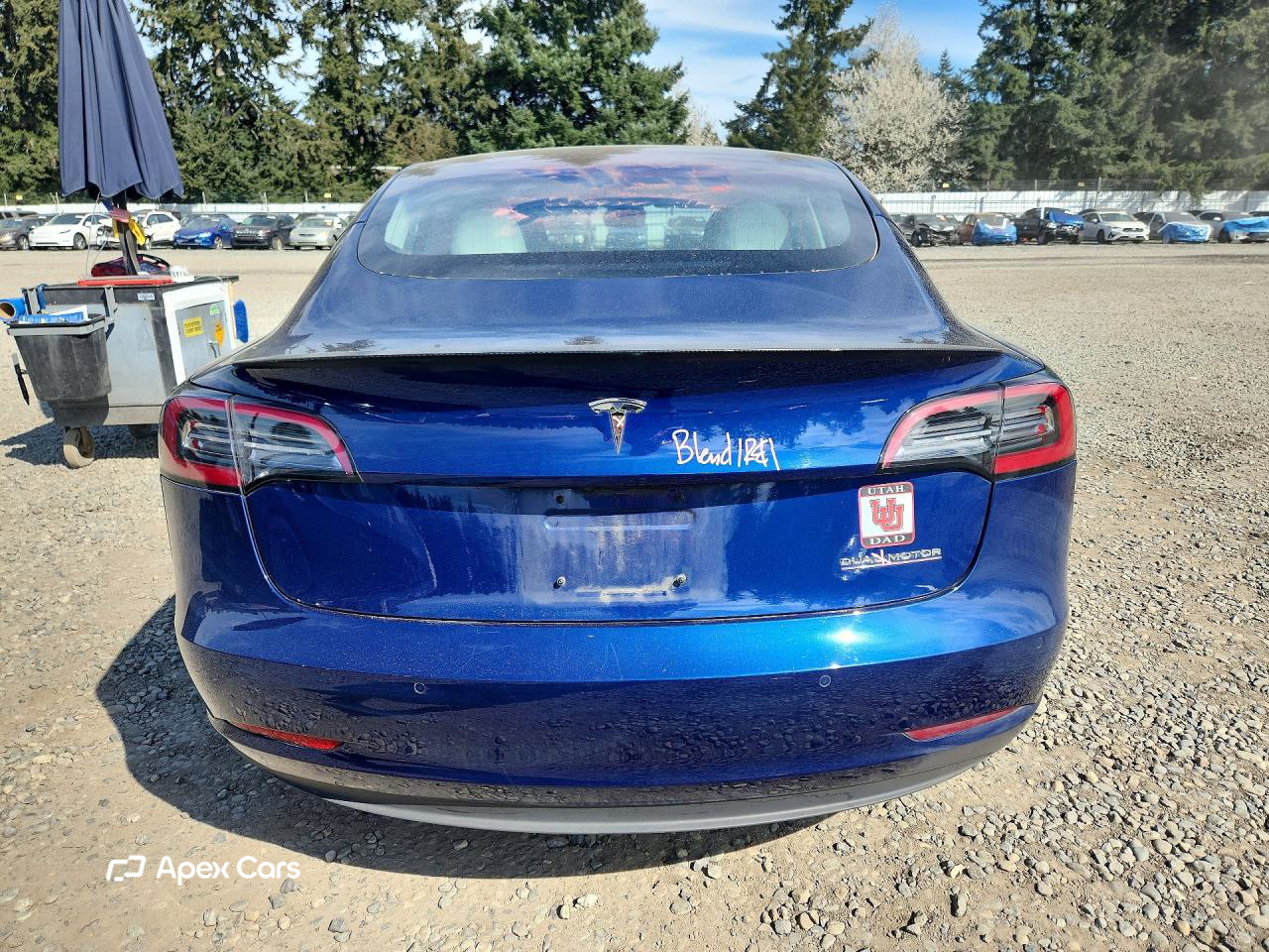 Tesla Model 3 2018