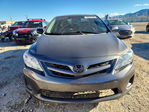 Toyota Corolla 2011