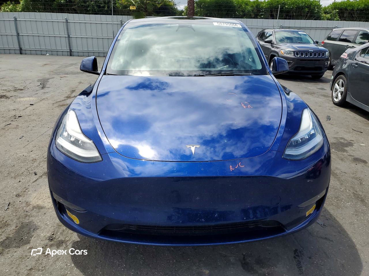 Tesla Model Y 2020
