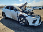 Lexus NX 2021