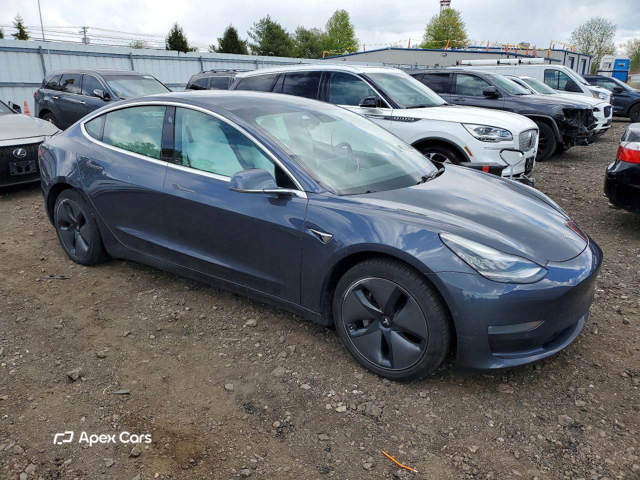 Tesla Model 3 2019