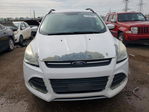 Ford Escape 2016