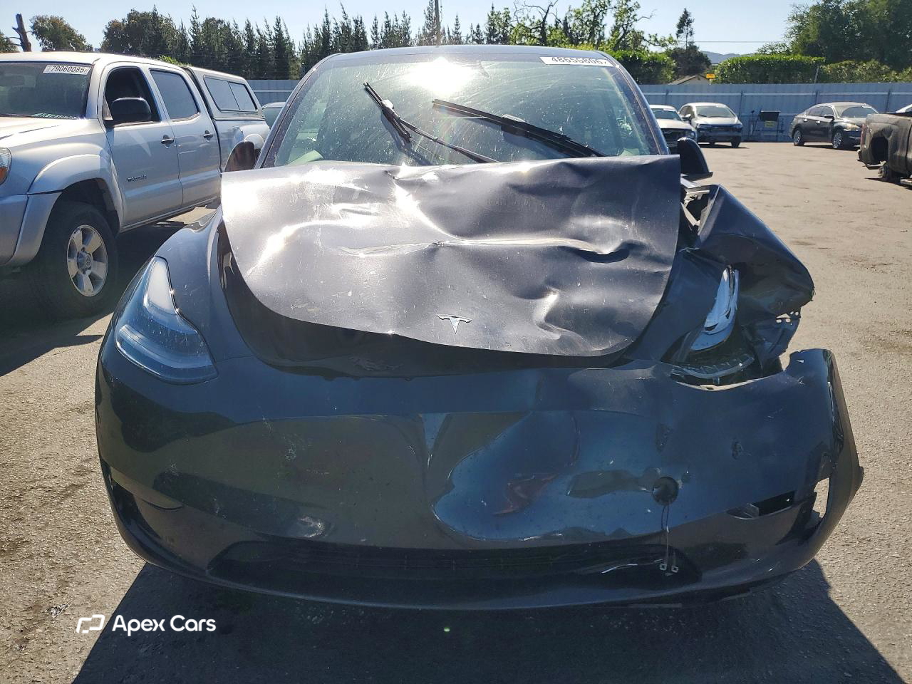 Tesla Model Y 2024
