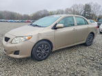 Toyota Corolla 2009