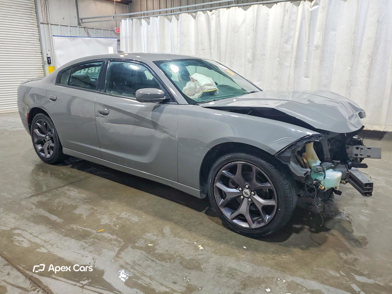 Dodge Charger 2019