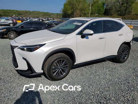 Lexus NX 2025 - Zdjęcie 1 z 14
