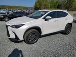 Lexus NX 2025