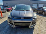 Ford Escape 2013