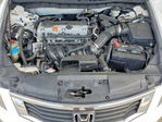 Honda Accord 2010
