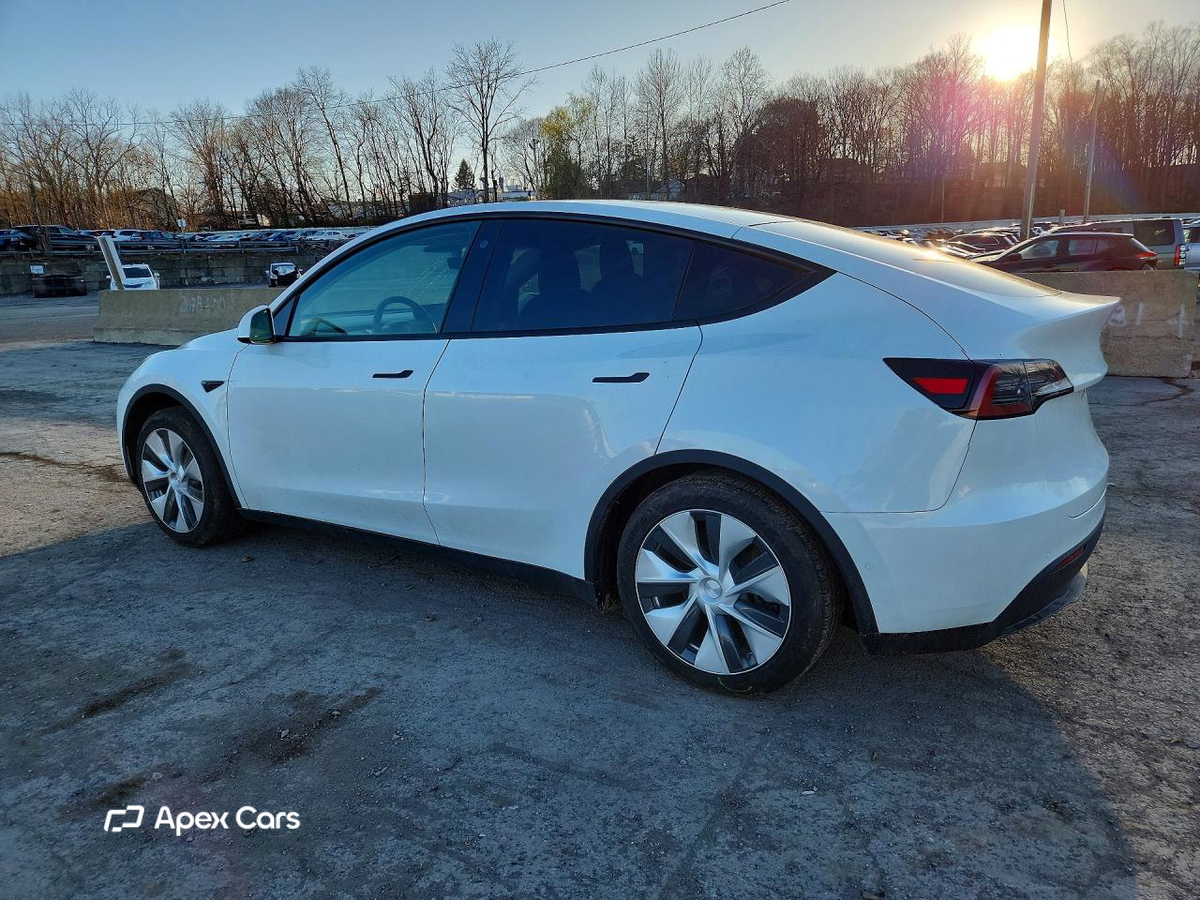 Tesla Model Y 2021