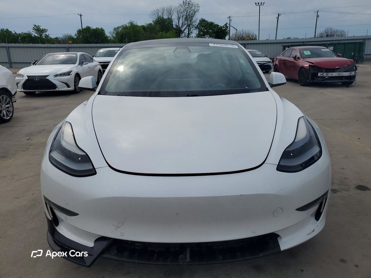Tesla Model 3 2021