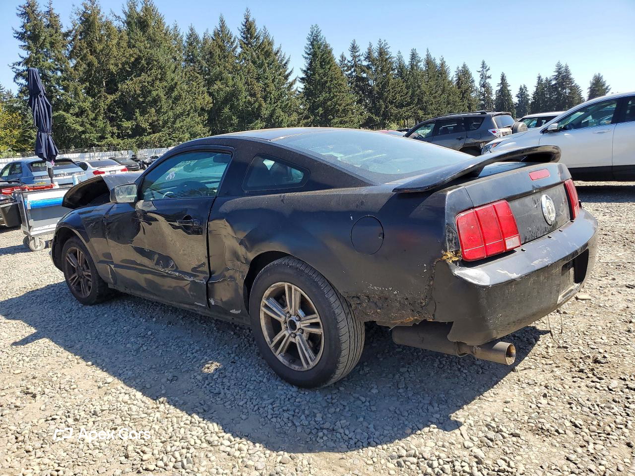 Ford Mustang 2007