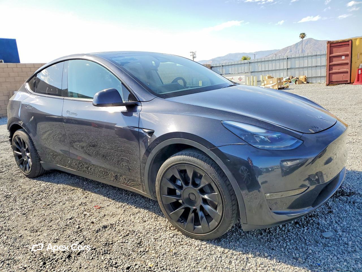 Tesla Model Y 2024