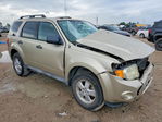 Ford Escape 2011