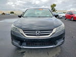 Honda Accord 2013