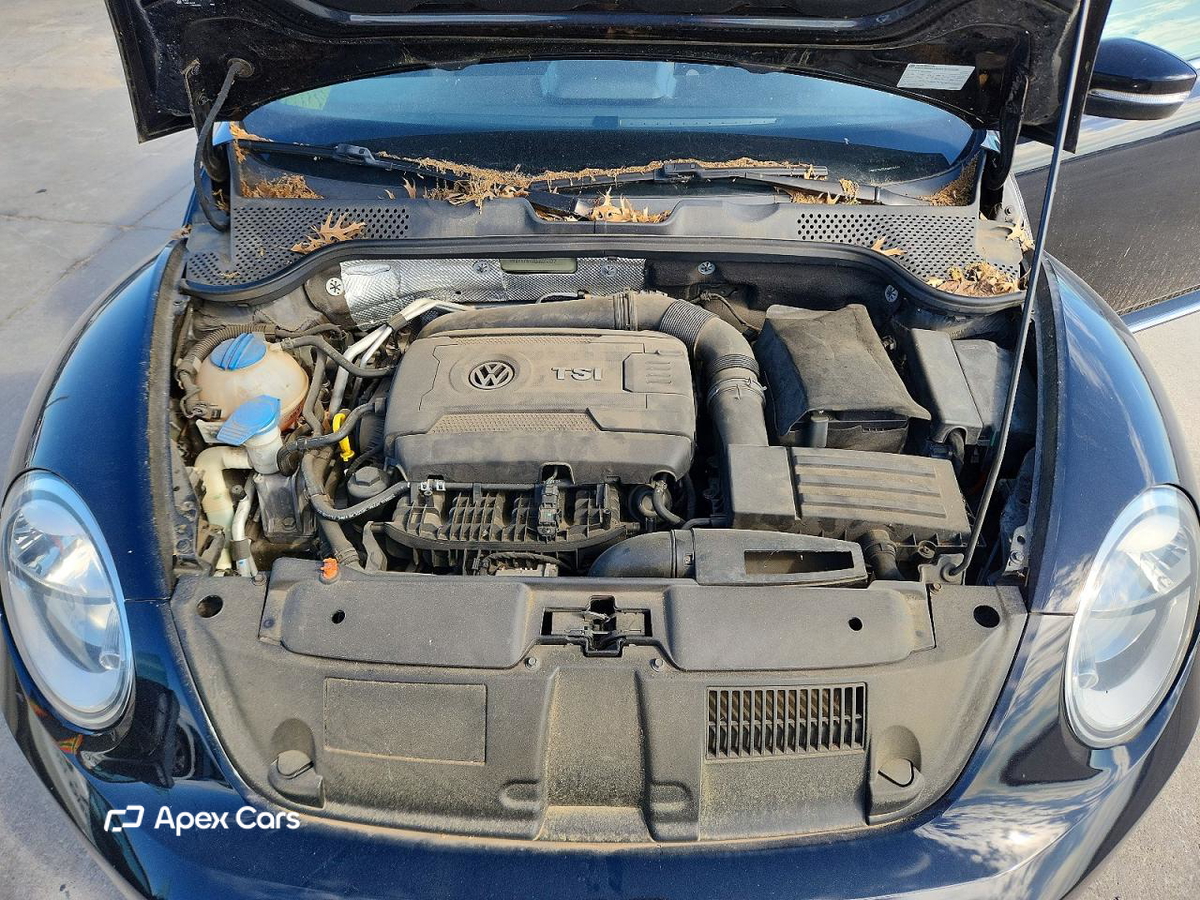 Volkswagen Beetle 2013