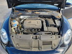 Volkswagen Beetle 2013
