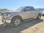 Ford F-150 2013
