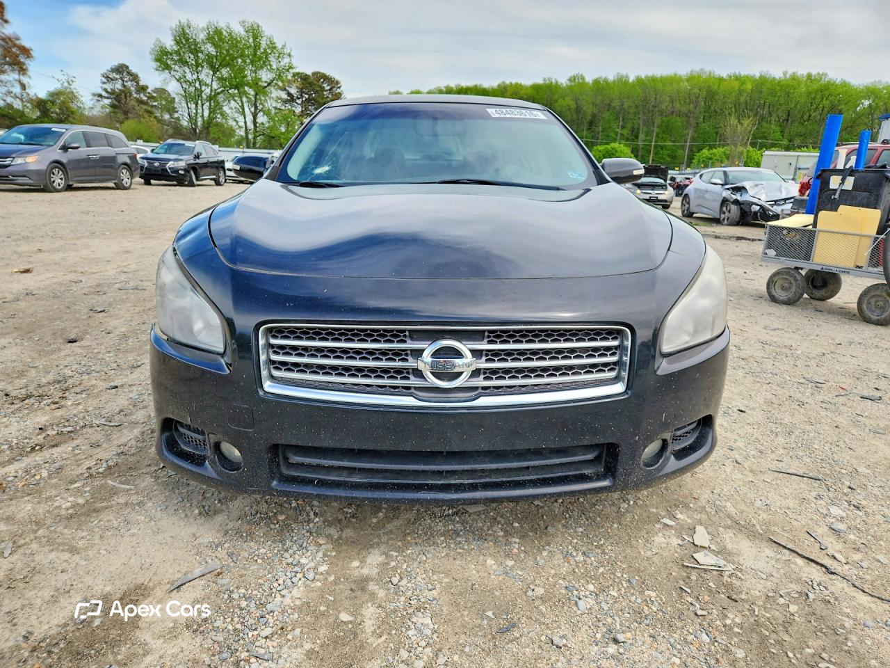 Nissan Maxima 2011