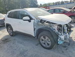 Toyota RAV 4 2025