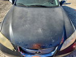 Lexus ES 2008