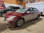 Nissan Altima 2010