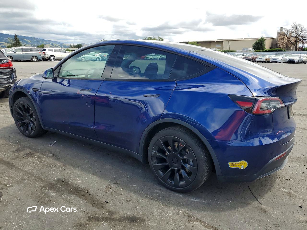 Tesla Model Y 2020