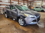 Ford Escape 2013