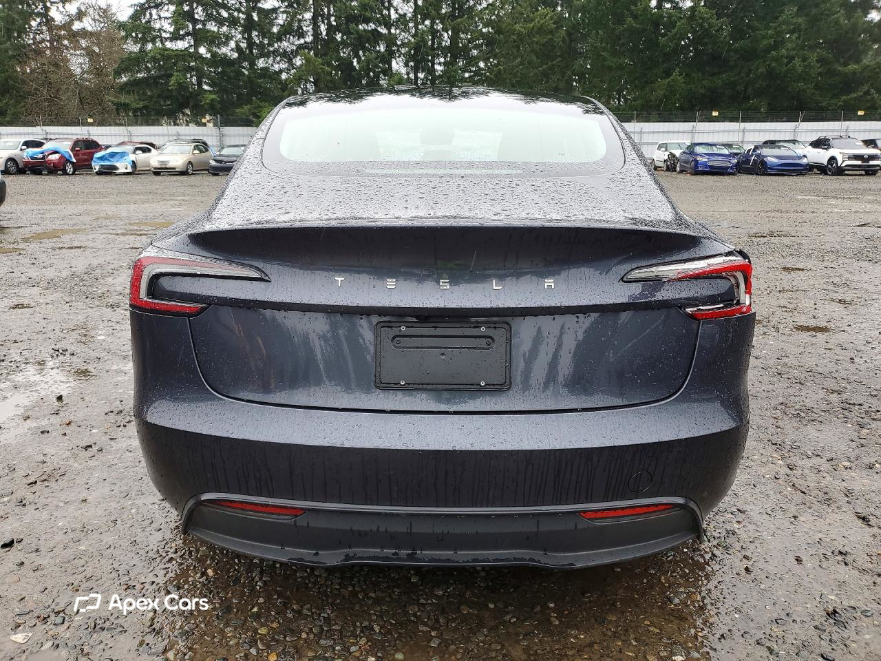 Tesla Model 3 2024