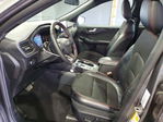 Ford Escape 2025