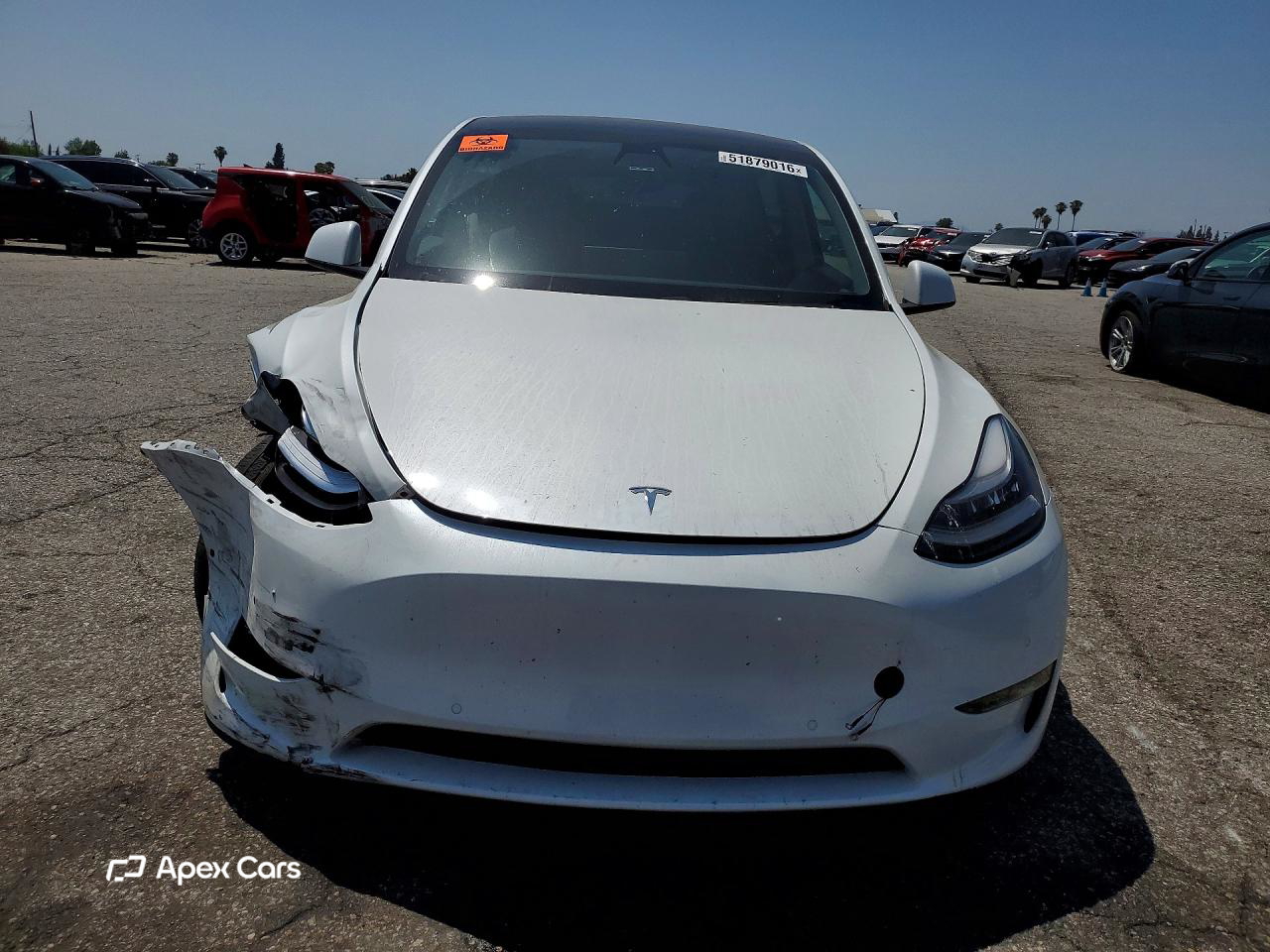 Tesla Model Y 2020