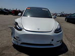 Tesla Model Y 2020