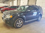 Ford Escape 2011